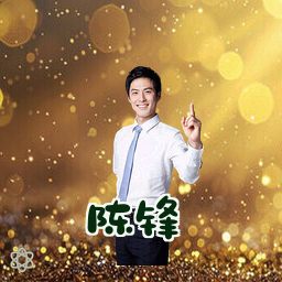 陈锋